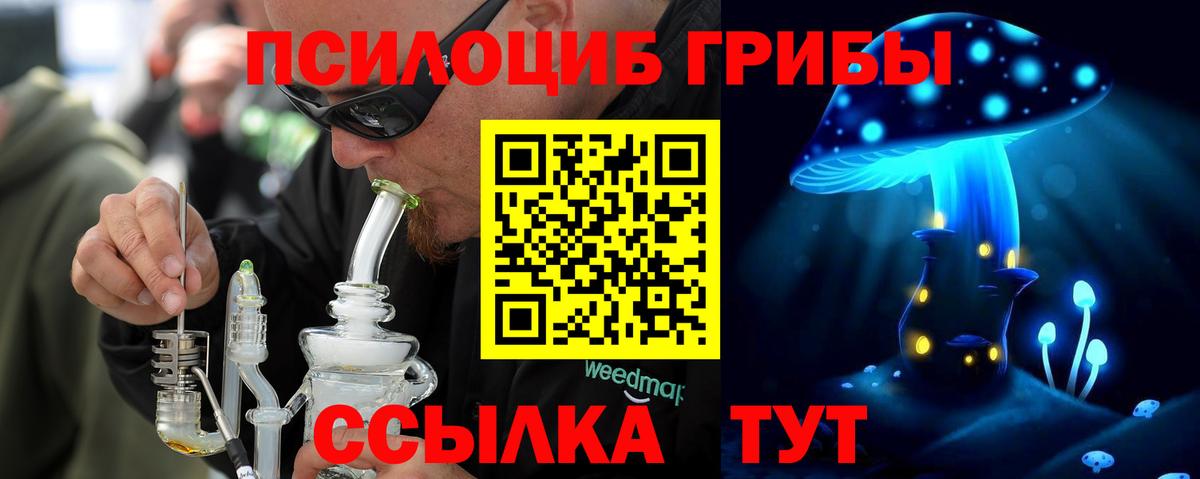 Псилоцибиновые грибы GOLDEN TEACHER  Вход с VPN  Псилоцибиновые грибы Magic Shrooms  Королёв 